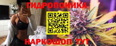 стаф Краснознаменск